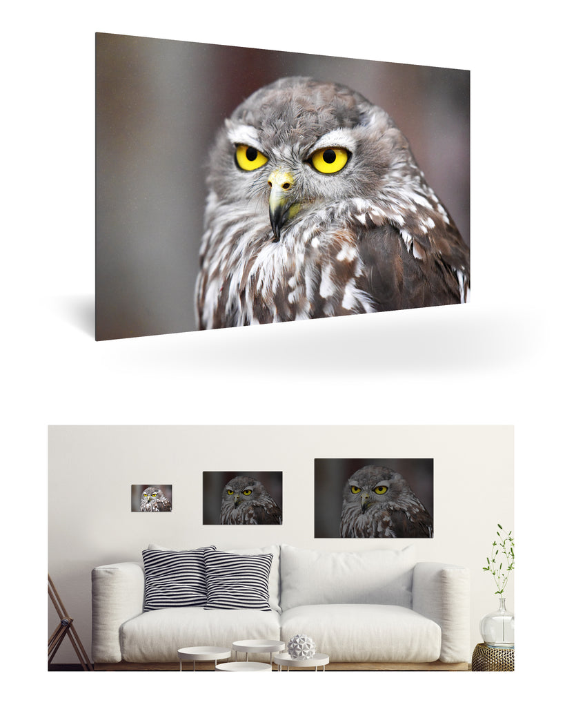 Fremantle, Australien