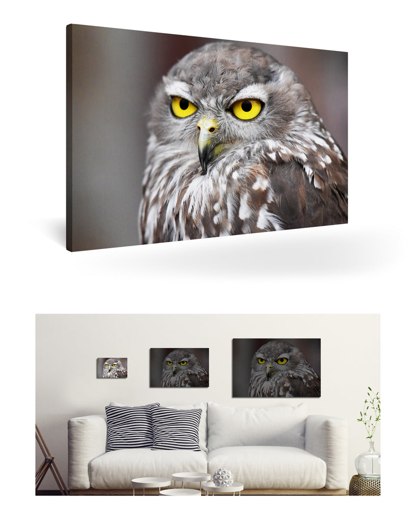 Fremantle, Australien