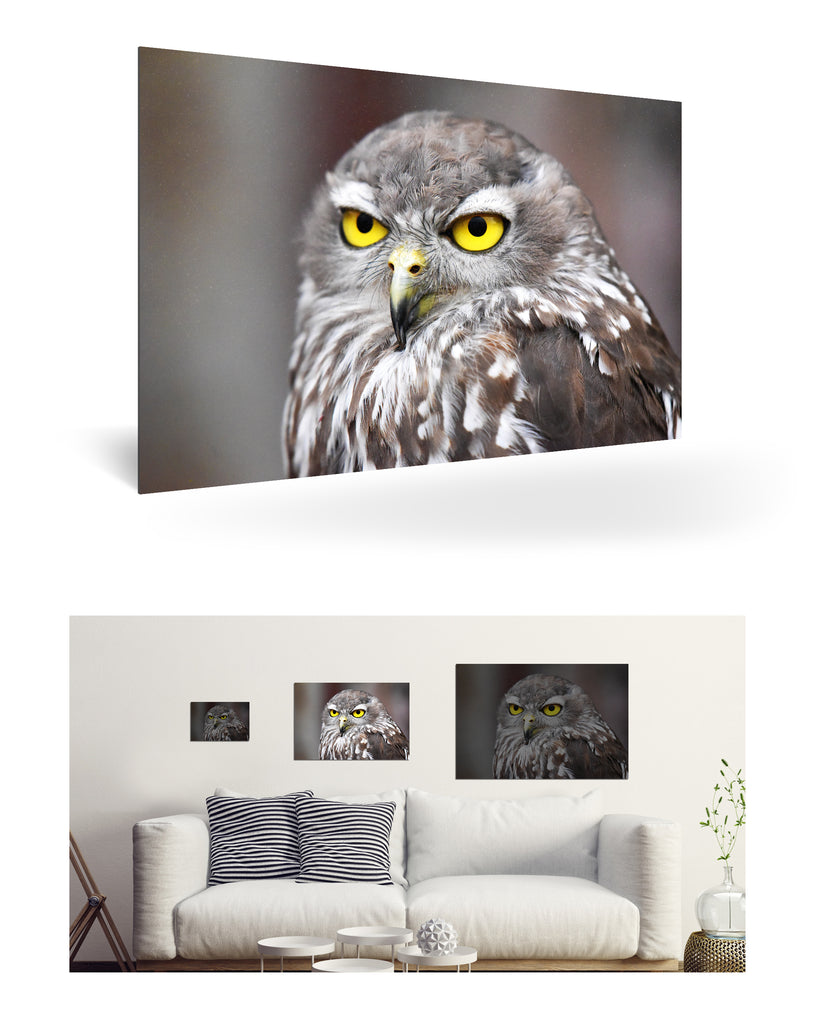 Fremantle, Australien