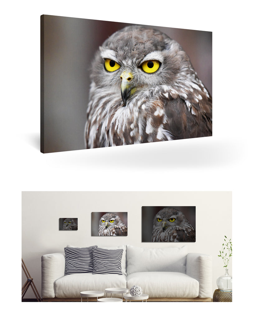 Fremantle, Australien