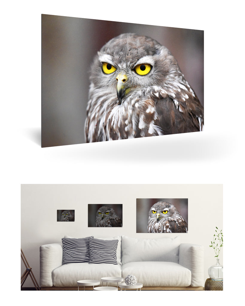 Fremantle, Australien