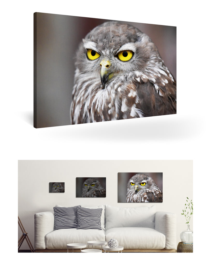 Fremantle, Australien