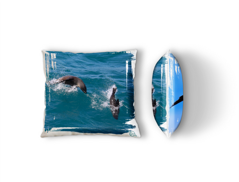 West Point Island, Falkland Islands