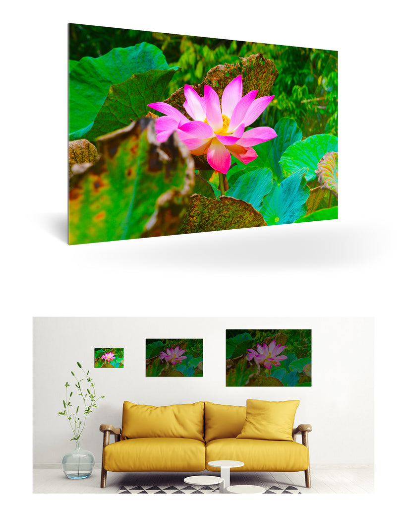 Papeete, Französisch-Polynesien