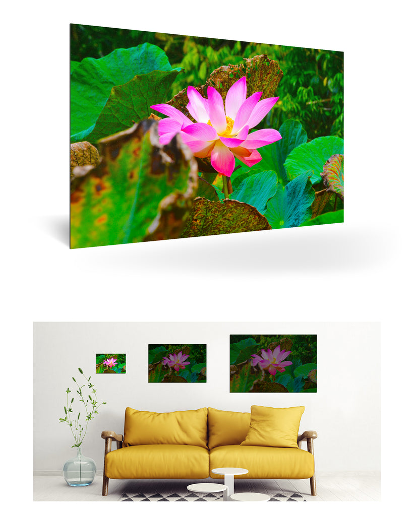 Papeete, Französisch-Polynesien