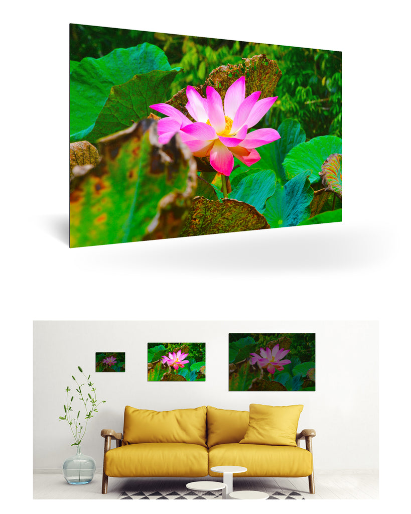 Papeete, Französisch-Polynesien