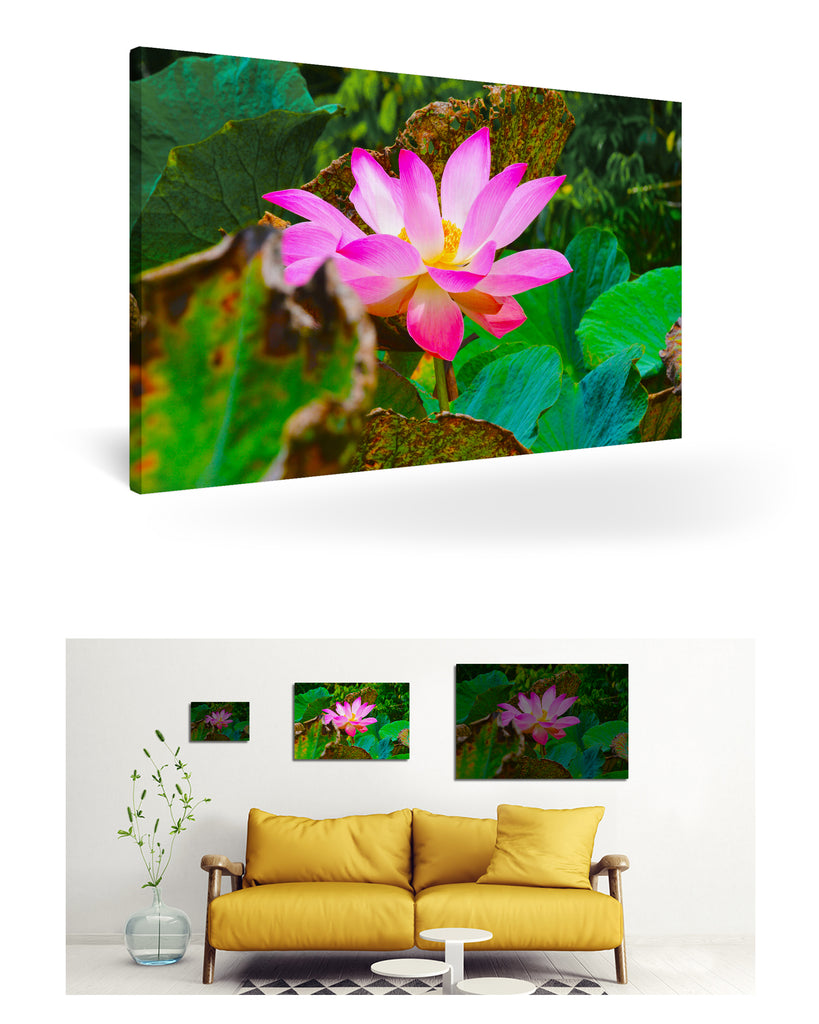 Papeete, Französisch-Polynesien