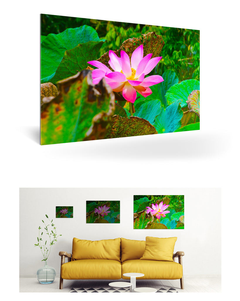 Papeete, Französisch-Polynesien