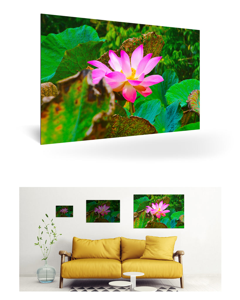 Papeete, Französisch-Polynesien