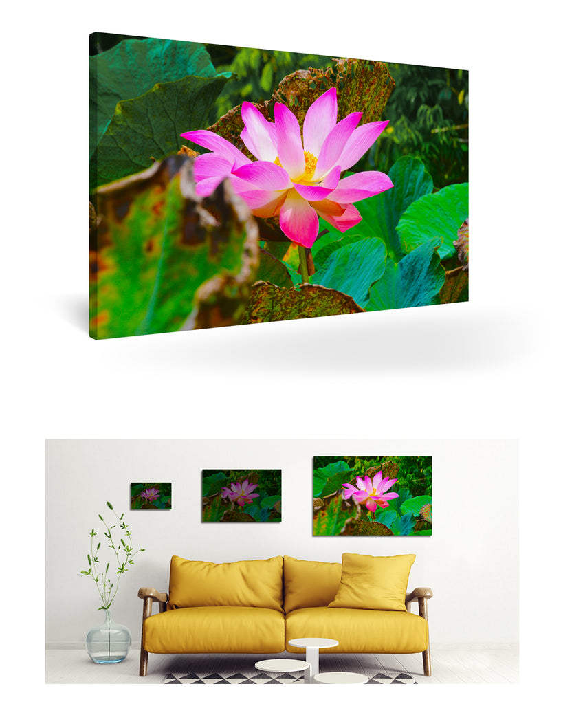 Papeete, Französisch-Polynesien