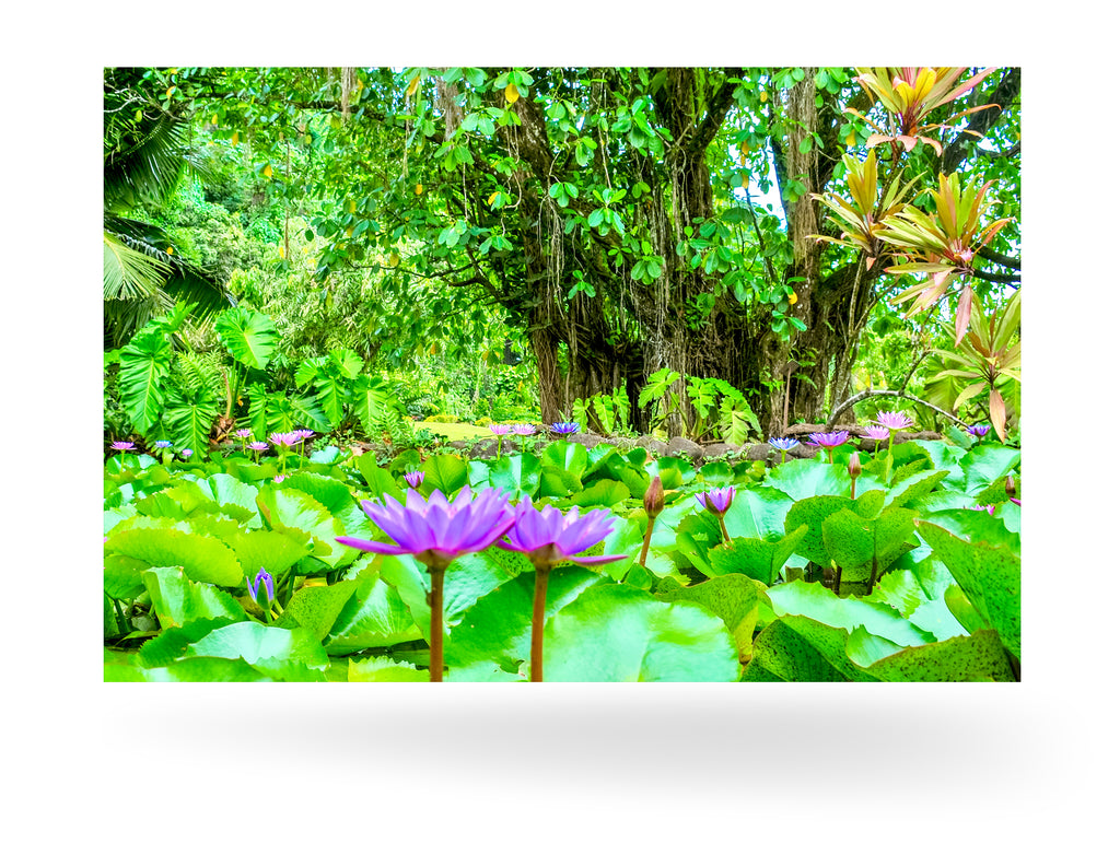 Papeete, Französisch-Polynesien