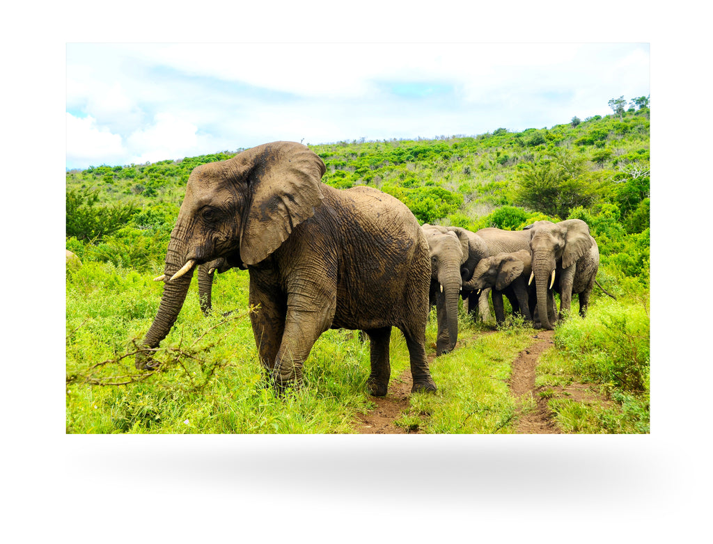 Richards Bay, Südafrika