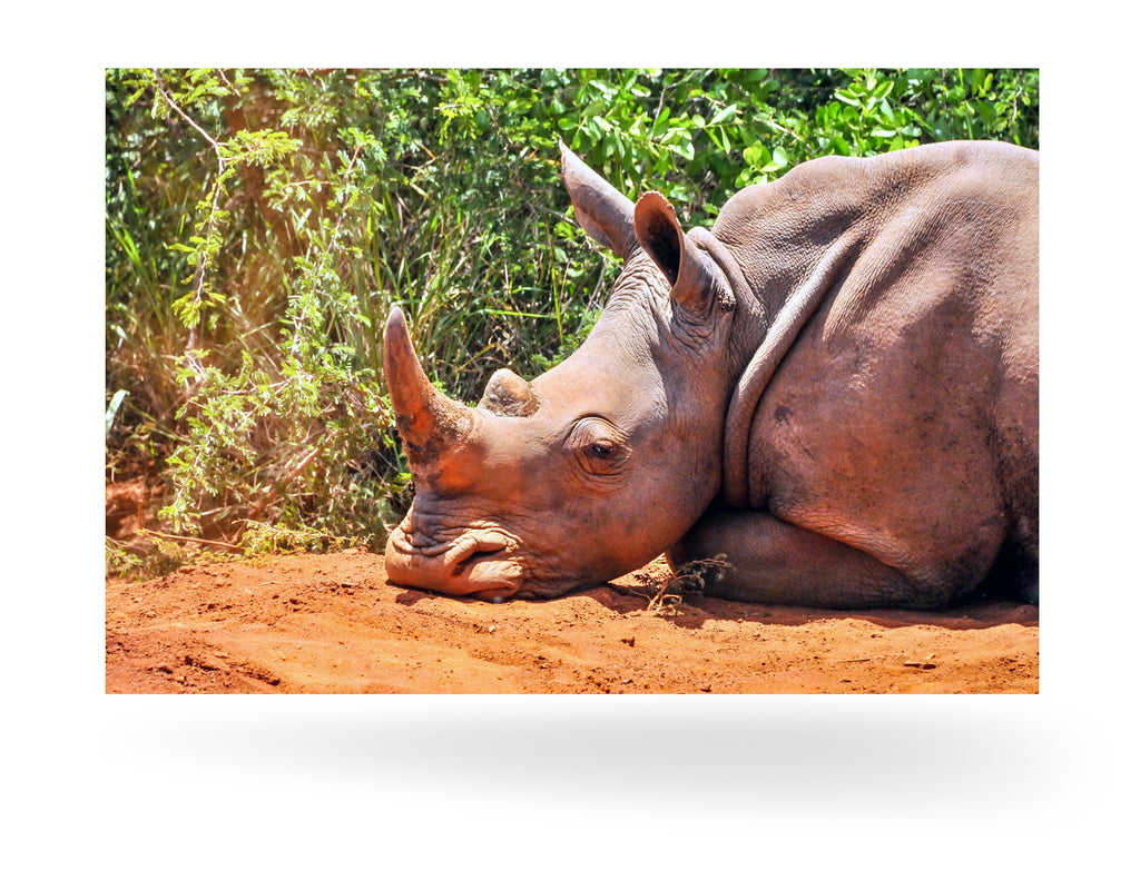 Richards Bay, Südafrika