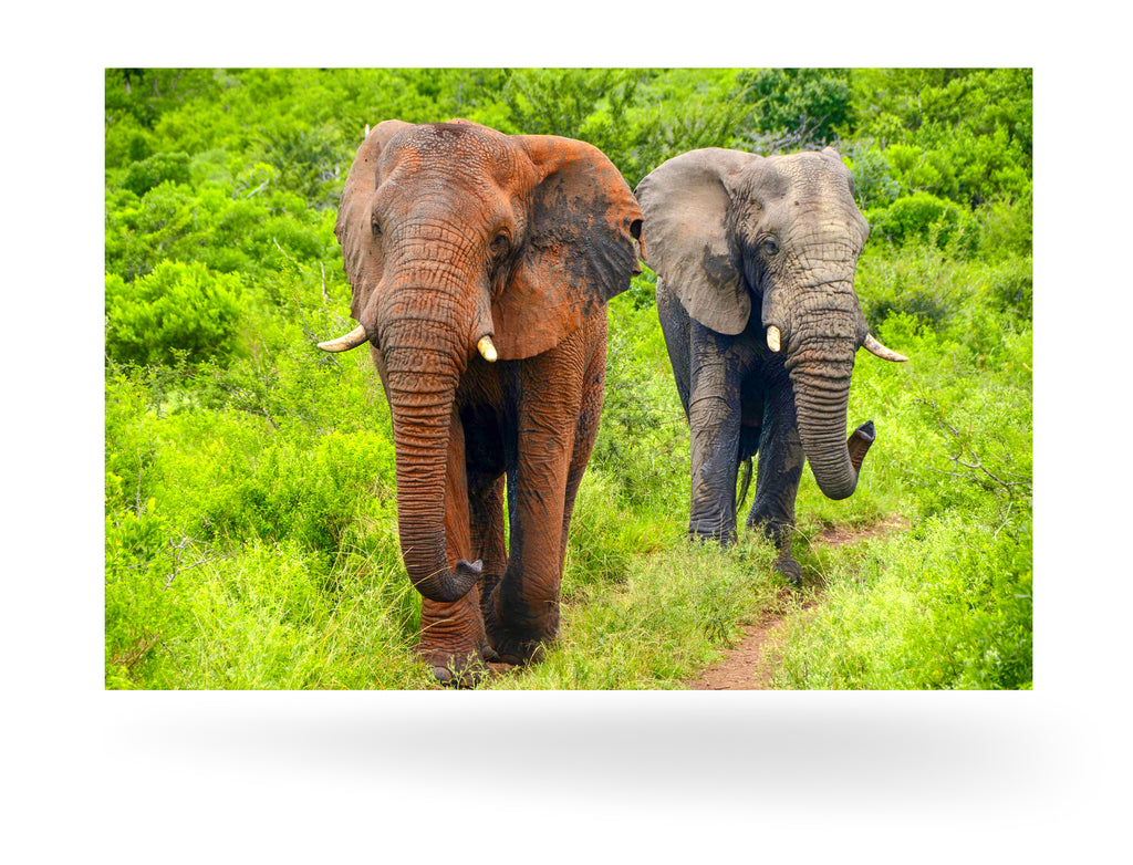 Richards Bay, Südafrika