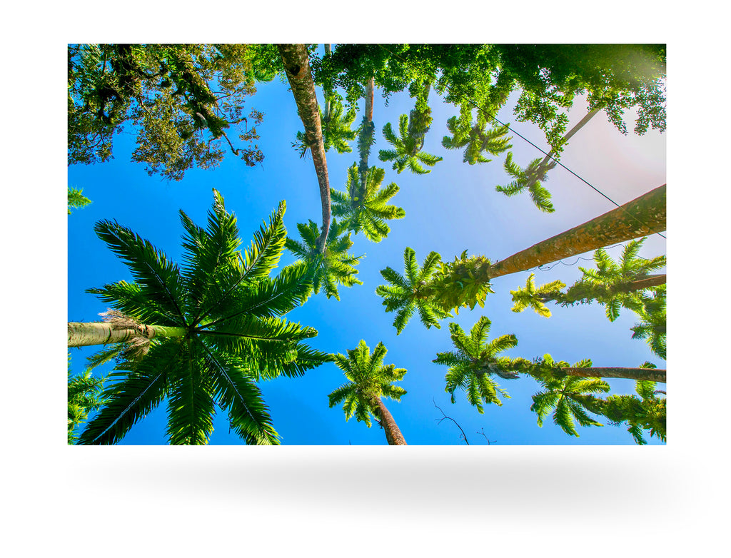 Puerto Limón, Costa Rica