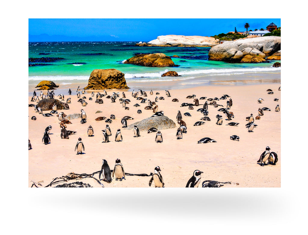 Kapstadt, Südafrika