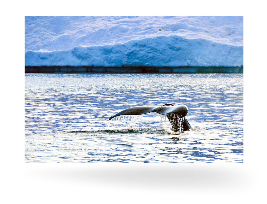 Ilulissat, Grönland