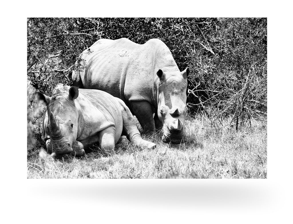 Port Elizabeth, Südafrika