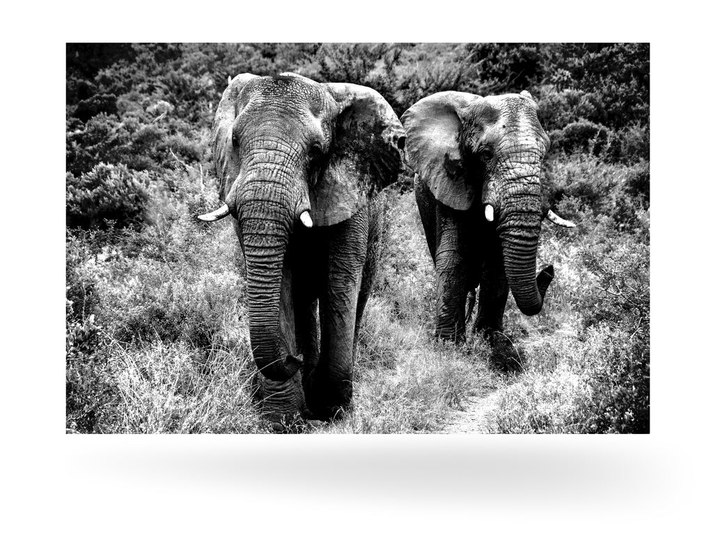 Richards Bay, Südafrika