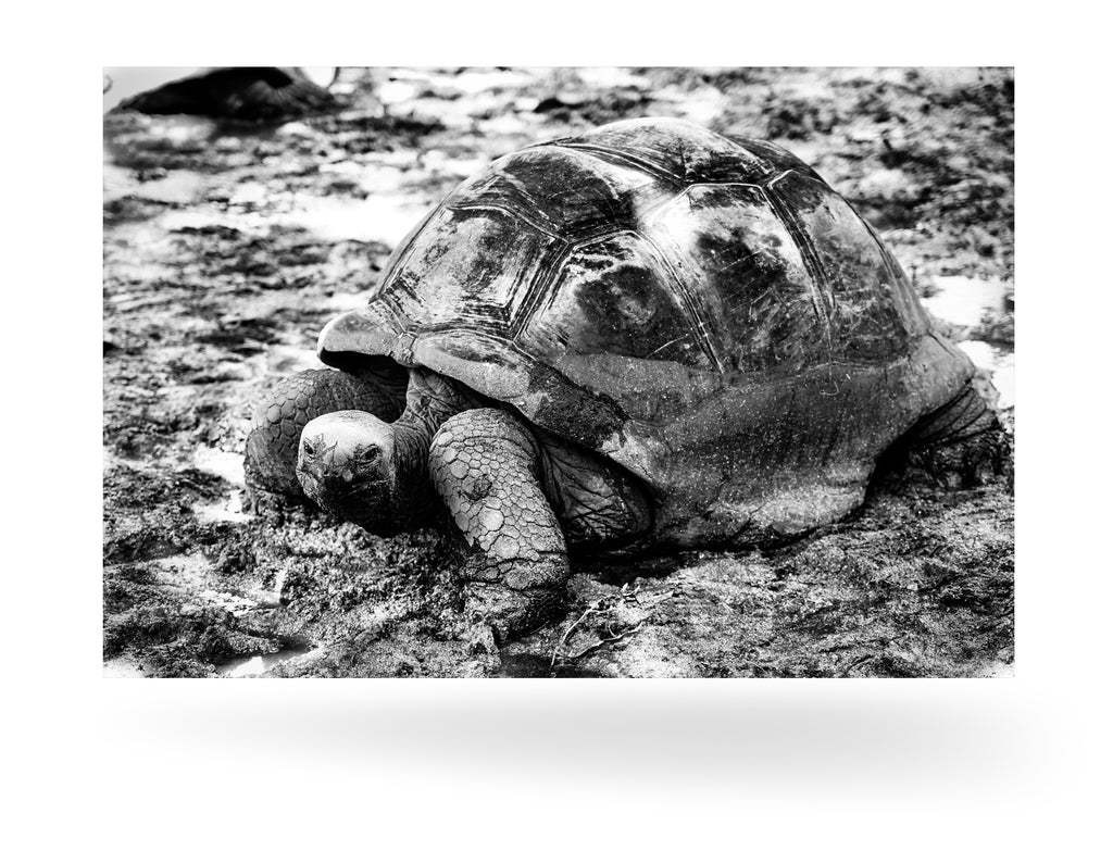 La Digue, Seychellen