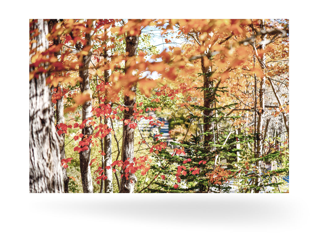 Bar Harbor, Vereinigte Staaten