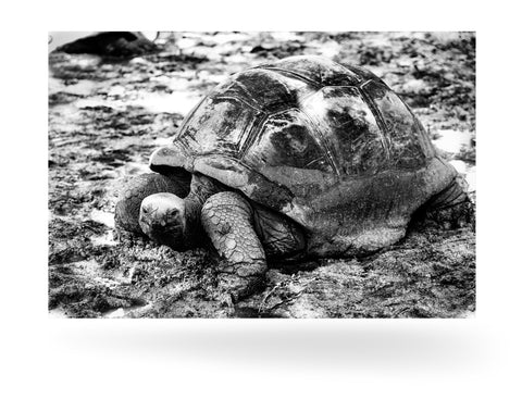 La Digue, Seychellen