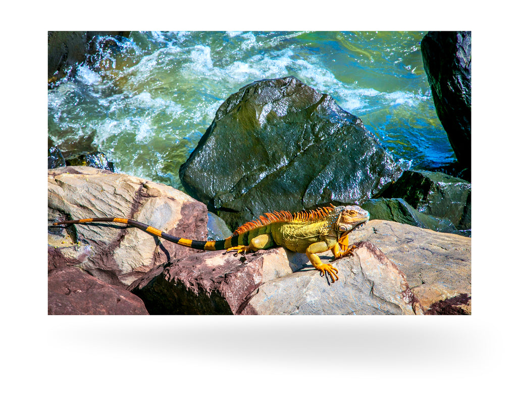 Puerto Limón, Costa Rica