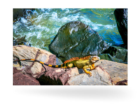 Puerto Limón, Costa Rica