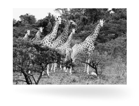 East London, Südafrika