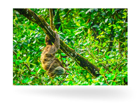 Puerto Limón, Costa Rica