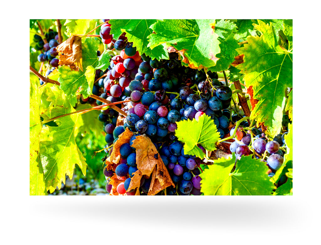 Bordeaux, Frankreich