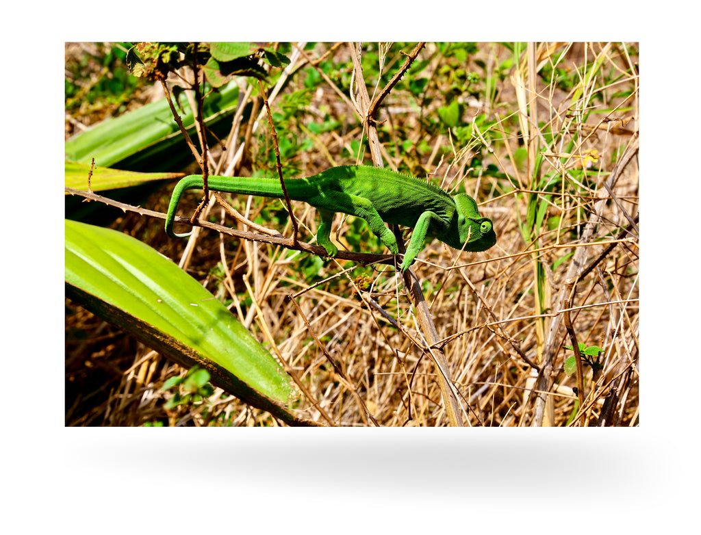 Antsiranana, Madagaskar