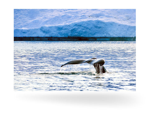 Ilulissat, Grönland
