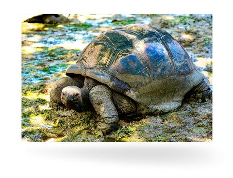 La Digue, Seychellen