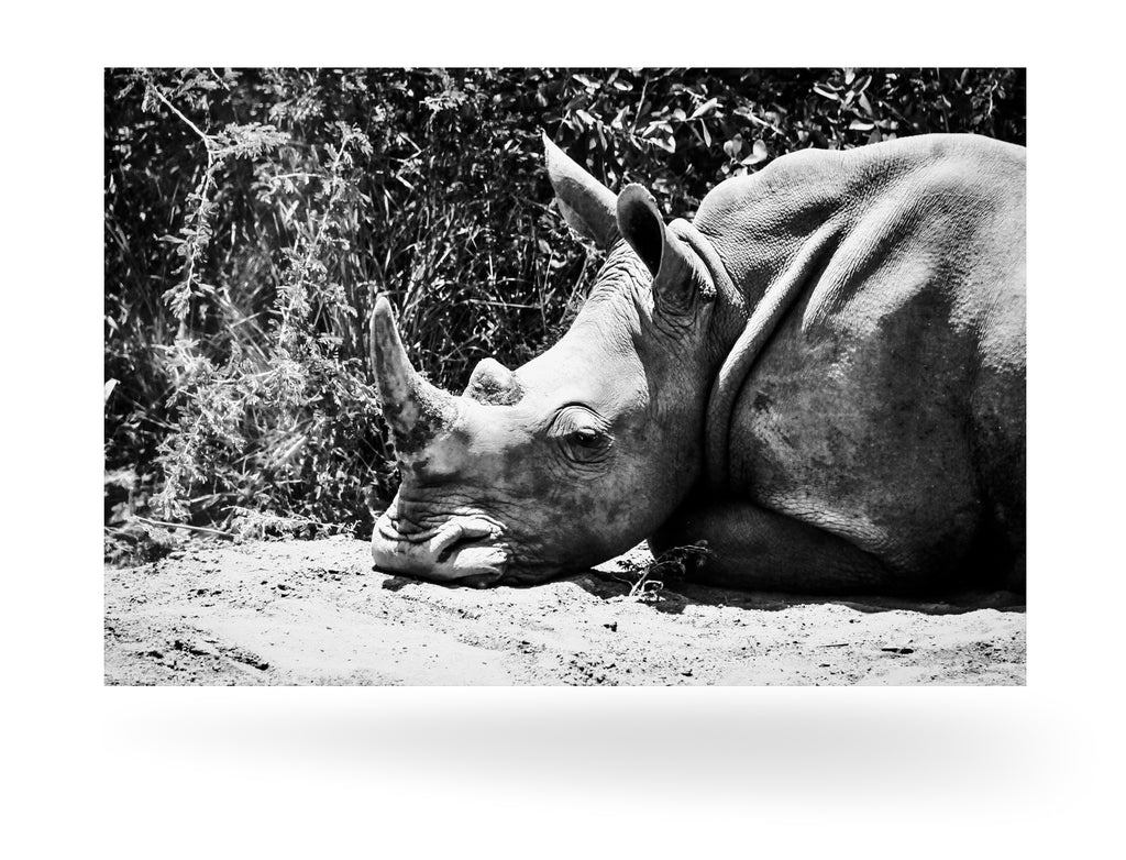 Richards Bay, Südafrika