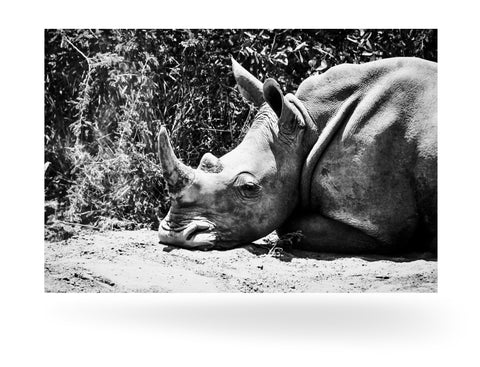 Richards Bay, Südafrika