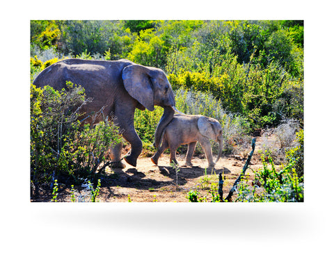 Port Elizabeth, Südafrika