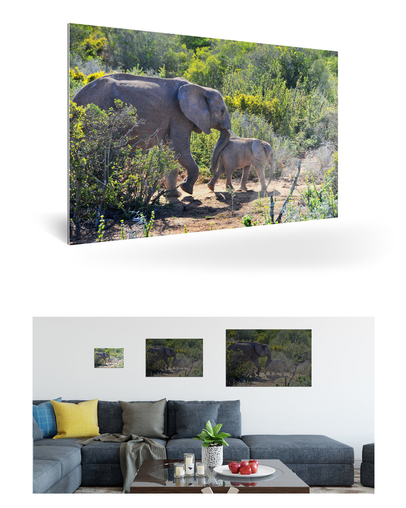 Port Elizabeth, Südafrika