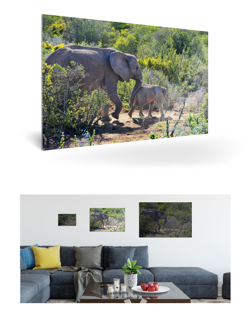 Port Elizabeth, Südafrika