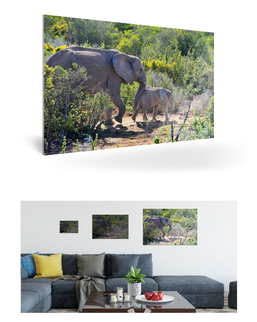 Port Elizabeth, Südafrika