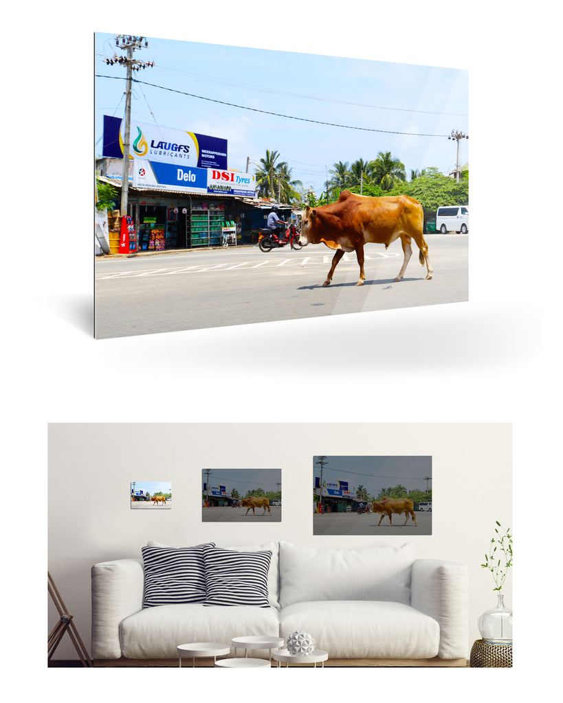 Trincomalee, Sri Lanka