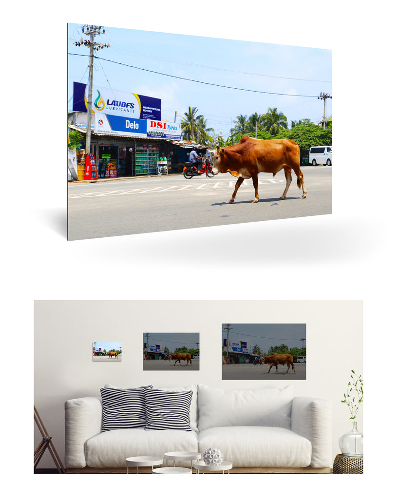 Trincomalee, Sri Lanka