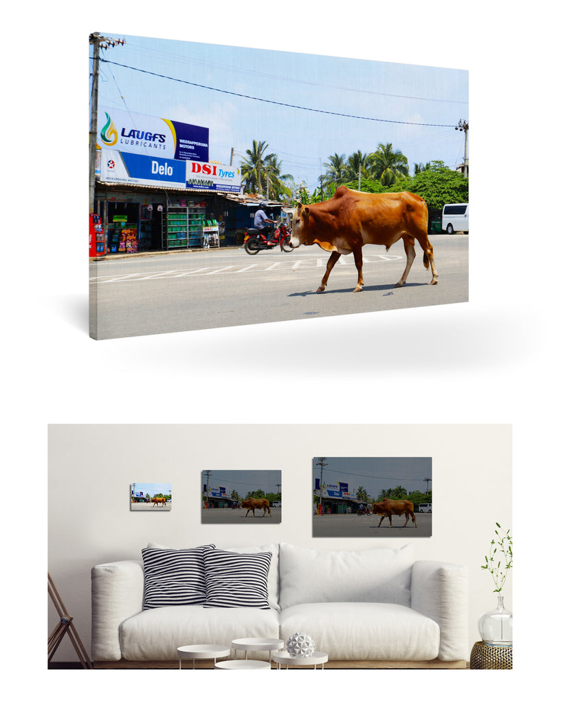 Trincomalee, Sri Lanka