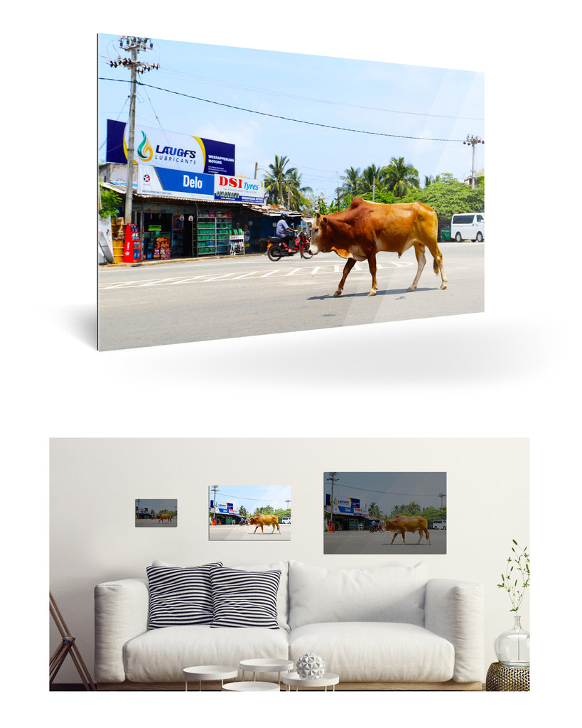 Trincomalee, Sri Lanka