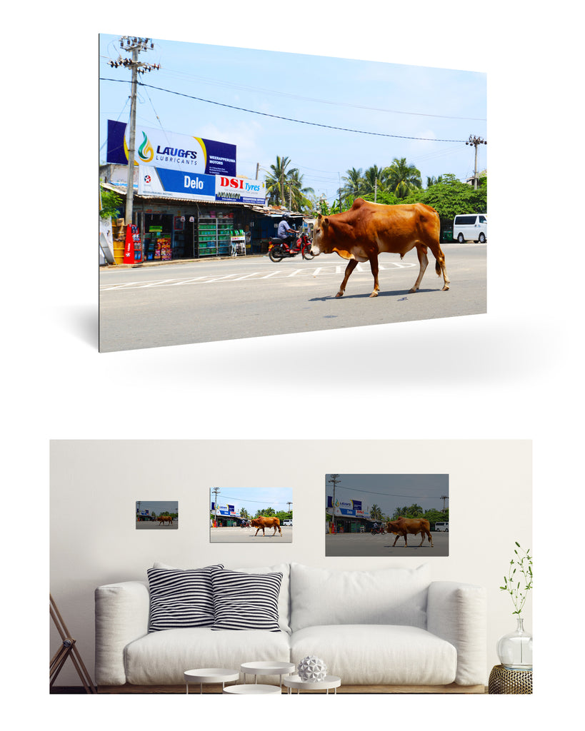 Trincomalee, Sri Lanka