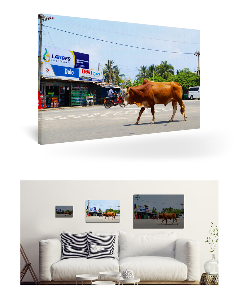 Trincomalee, Sri Lanka