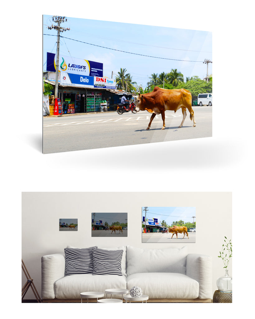 Trincomalee, Sri Lanka