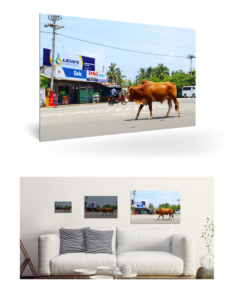 Trincomalee, Sri Lanka