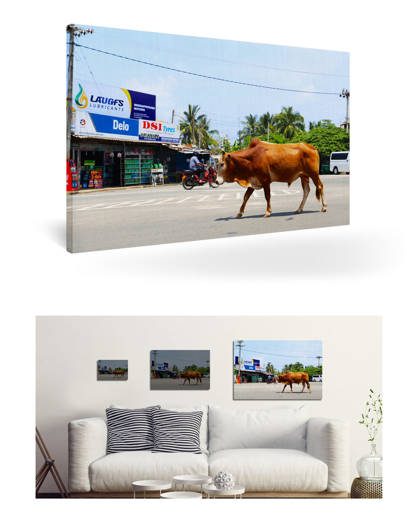 Trincomalee, Sri Lanka