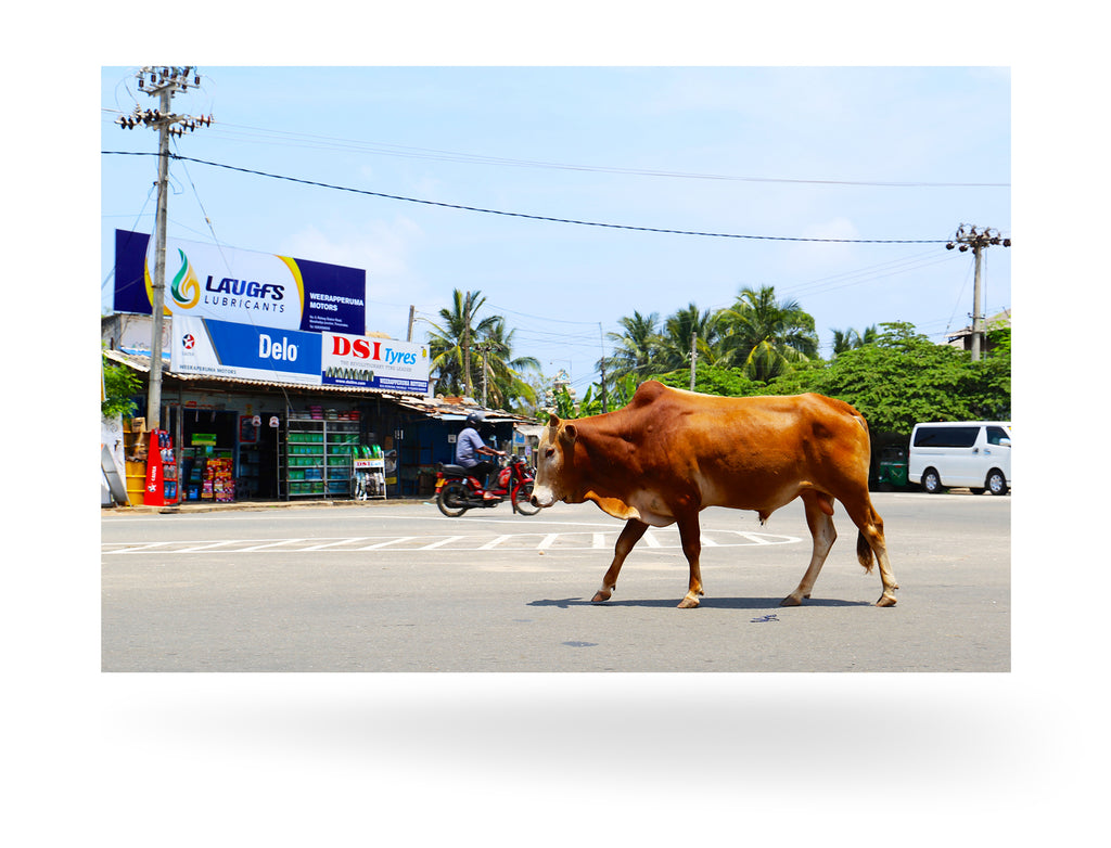 Trincomalee, Sri Lanka